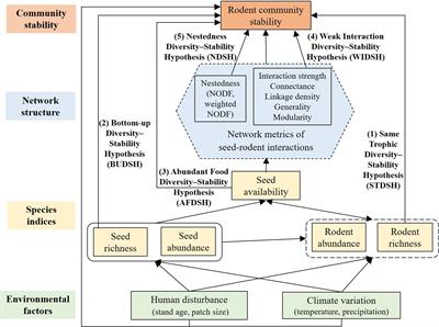 High seed diversity and availability increase rodent community stability under human disturbance and climate variation